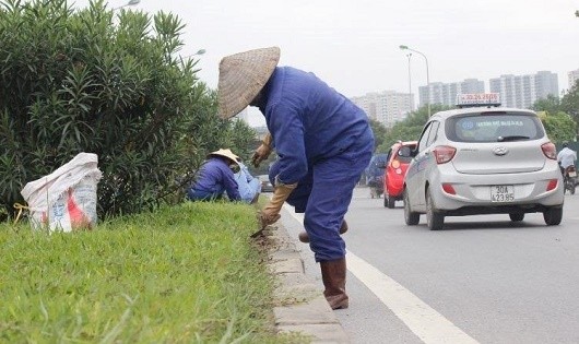 Cắt tỉa cỏ dại chăm sóc cây xanh.