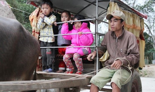 Hàng ngày hàng chục đứa trẻ được anh Ngọc đưa đến trường và đưa về bằng xe trâu. 