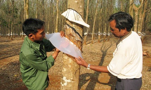 Chư Prông hồi sinh từ vùng đất bom cày, đạn xới