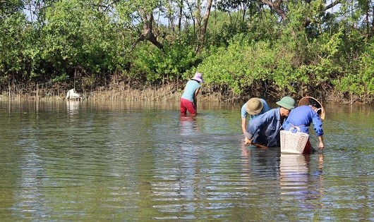 Không quản thời tiết, những “thợ mò” vẫn ra sông, ngâm mình liên tục hàng giờ. 