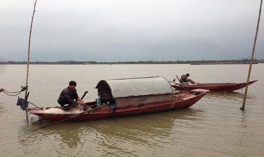 Giăng lưới mùa cá mòi