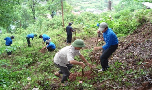 Ảnh minh họa