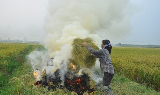 Nỗi ám ảnh khói đốt đồng