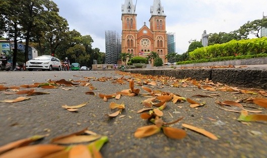 Sống chậm giữa mùa mưa… sao Sài Gòn