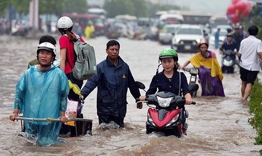 Ảnh minh họa từ internet.