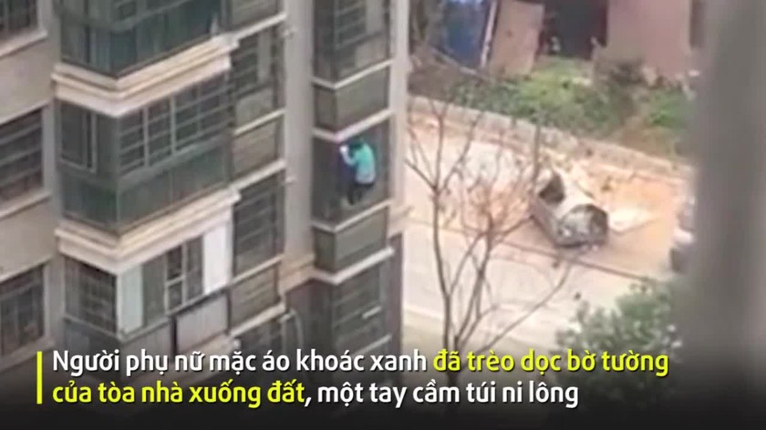 Cụ bà Vũ Hán trèo từ tầng 8 xuống đất vì thèm... thịt