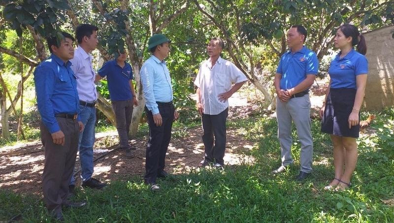 Hiệu quả thiết thực khi Chủ tịch UBND cấp xã tham gia vào tín dụng chính sách  ​