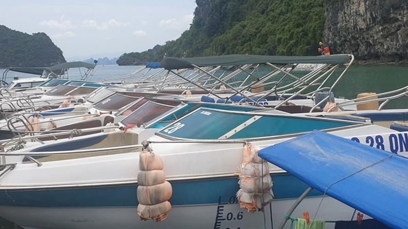 Dàn xuồng cao tốc phục vu du khách trên vịnh Hạ Long dừng hoạt động từ đợt dịch đầu tiên. Ảnh: Nguyễn Hùng