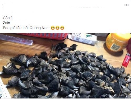 Quảng cáo buôn bán trái phép ĐVHD trên mạng xã hội