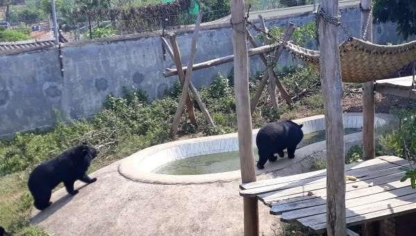 Cần nhanh chóng triển khai mở rộng Trung tâm Cứu hộ động vật hoang dã Hà Nội