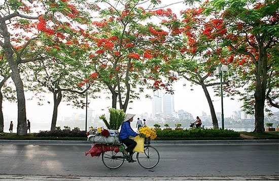 Ảnh dự liên hoan là ảnh đơn hoặc ảnh bộ, chụp tại khu vực Hà Nội, thể hiện tình yêu của người Việt Nam và bạn bè quốc tế với Hà Nội (ảnh minh họa)