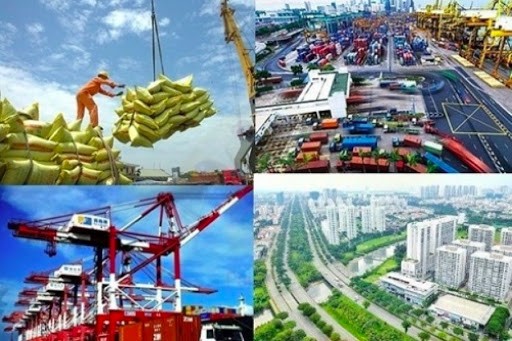 ILO: Khủng hoảng vì COVID-19 có thể ảnh hưởng đến sinh kế của 10,3 triệu lao động Việt Nam