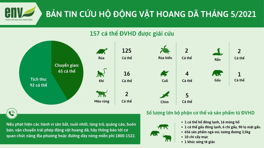 Ghi nhận vụ việc thứ 20.000 của Đường dây nóng tiếp nhận thông tin vi phạm về ĐVHD