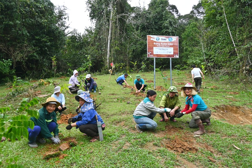 Hưởng ứng Ngày Thế giới trồng cây (21/3), 41.175 cây thuộc 12 loài gỗ quý hiếm đã được trồng tại Vườn Quốc gia Xuân Liên. Nguồn Gaia.