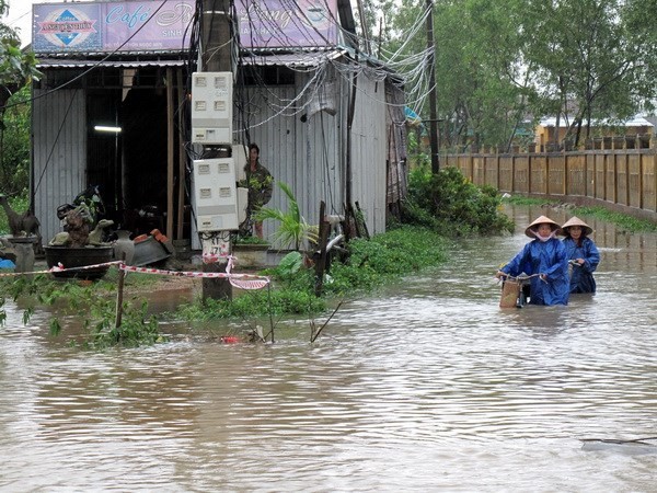 Ứng phó hiệu quả với rủi ro lũ lụt và biến đổi khí hậu không chỉ cần sự chủ động của cộng đồng mà còn đòi hỏi sự hỗ trợ từ khoa học và công nghệ. Ảnh minh họa. Nguồn TTXVN