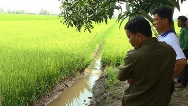 Hai người tử vong do dùng điện bẫy chuột