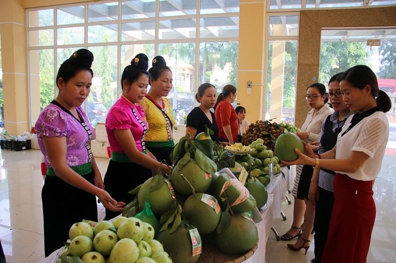 Mường La nỗ lực phát triển sản xuất trong mùa dịch.