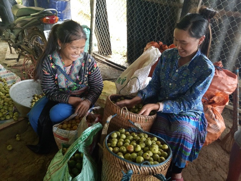 Các chính sách vùng đồng bào dân tộc thiểu số được triển khai tích cực đã góp phần nâng cao đời sống người dân.