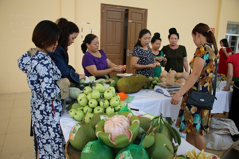 Người dân tích cực chuyển đổi cơ cấu cây trồng nâng cao thu nhập.