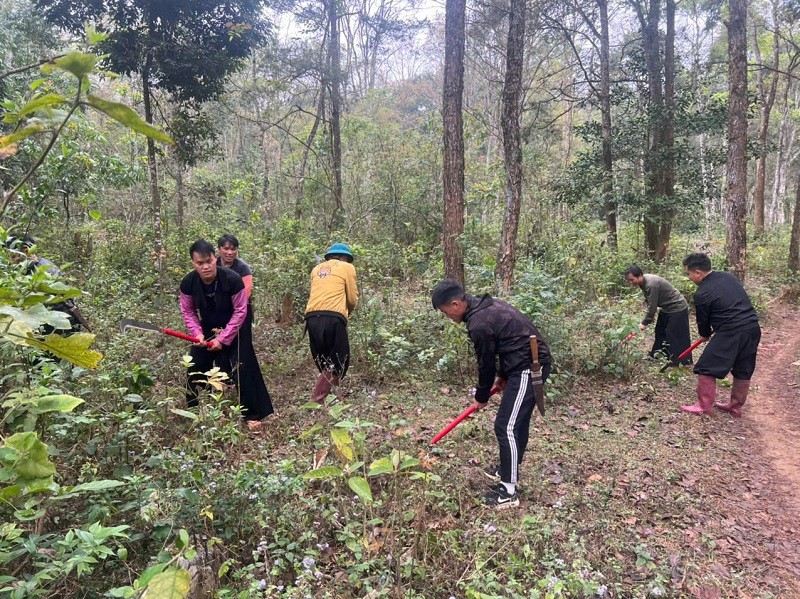 Người dân Sơn La tham gia công tác phòng cháy chữa cháy rừng.