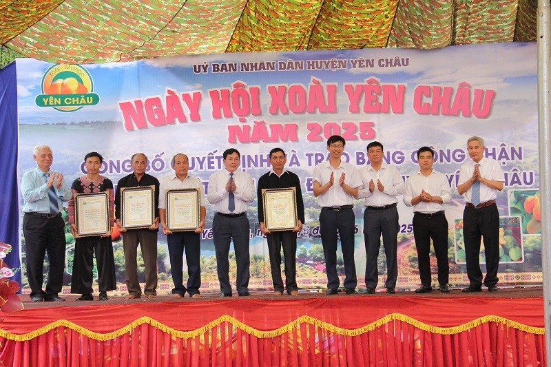 Ngày hội xoài Yên Châu.