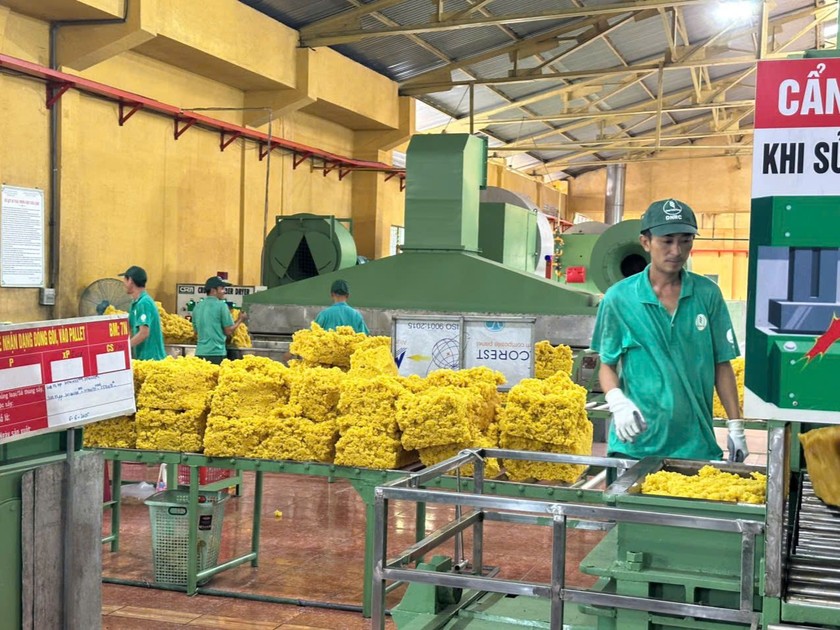 Tổng Công ty Cao su Đồng Nai luôn phát huy truyền thống anh dũng kiên cường, cần cù sáng tạo, hoàn thành nhiệm vụ được giao phó. 