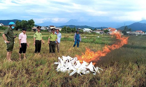 Lực lượng chức năng thu gom, tiêu hủy mồi bẫy chim trời.