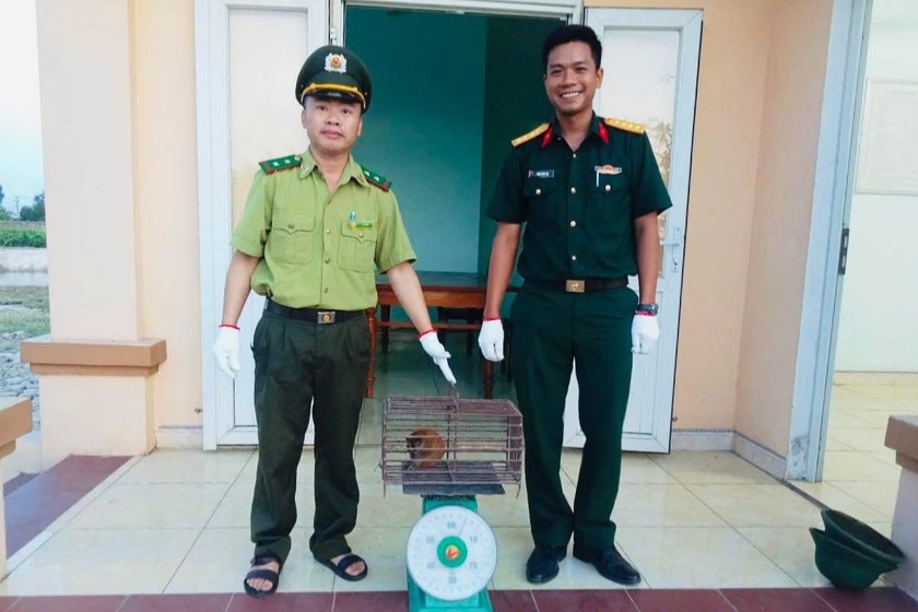 Lực lượng chức năng tiếp nhận cá thể cu li nhỏ quý hiếm.
