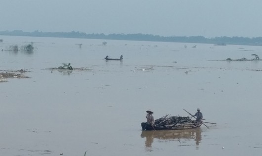 Người dân xã Tân Đức bất chấp nguy hiểm lao ra chèo thuyền ra vớt củi. Ảnh: Xuân Hồng.