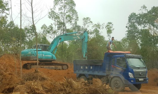 Máy xúc, xe tải ồ ạt khai thác đất vận chuyển trái phép như một đại công trường. Ảnh: Xuân Hồng. 