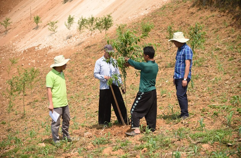 Người dân tộc thiểu số ở vùng “lõi nghèo” được hỗ trợ vốn, con giống, cây trồng, kỹ thuật vươn lên thoát nghèo