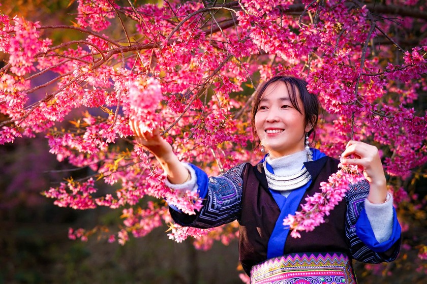 Ngẩn ngơ mùa hoa đào Mù Cang Chải Ngẩn ngơ mùa hoa đào Mù Cang Chải