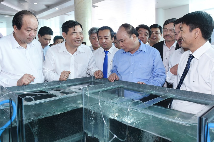 Thủ tướng thăm khu vực trưng bày tôm giống