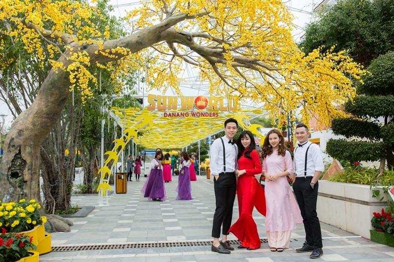 Giới trẻ háo hức chờ đón Lễ hội “Mai vàng sắc xuân” Sun World Danang Wonders