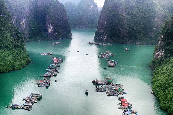 Làng chài trên Vịnh Hạ Long.