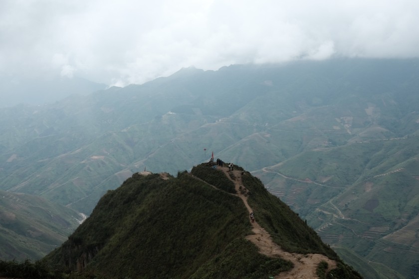 Sống lưng khủng long