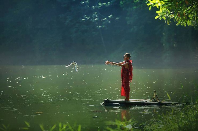 Phóng sinh là làm việc thiện và những người làm việc này được cho là sẽ được tích đức, nhận lại nhiều may mắn.