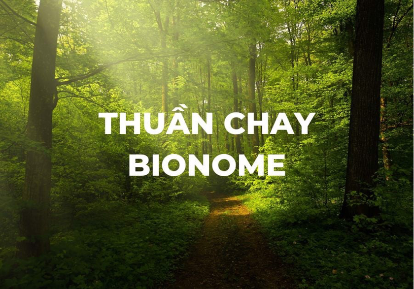 Tiêu chuẩn thuần chay Bionome an toàn cho da nhất hiện nay