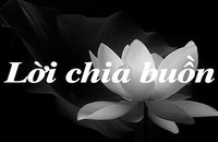 Lời chia buồn! 