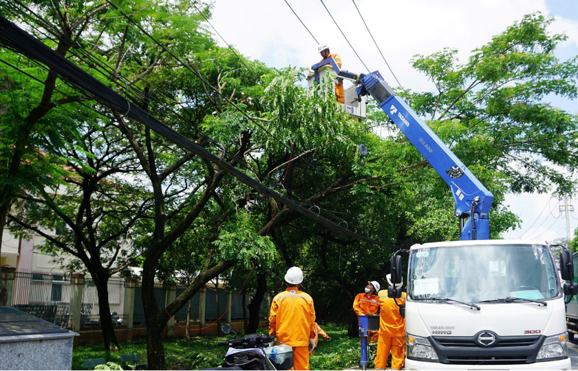 Công nhân ngành điện xử lý nhánh cây để đảm bảo an toàn điện mùa mưa, bão.