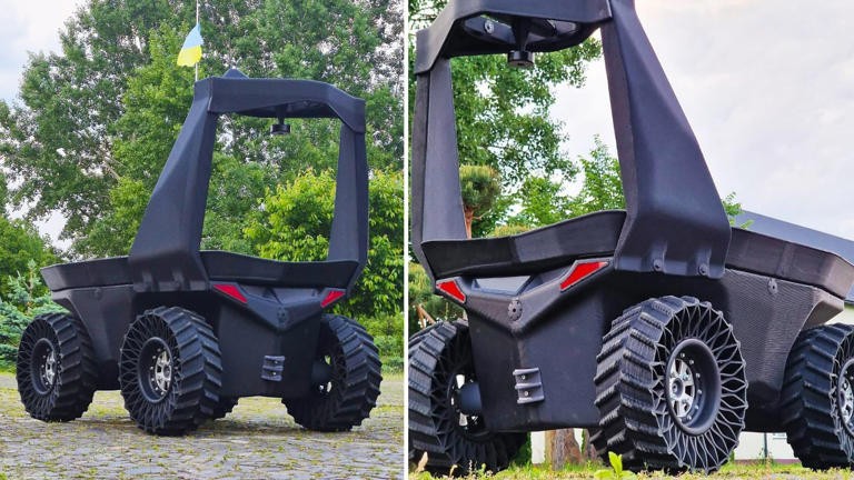 Robot in 3D đầu tiên trên thế giới (Ảnh: MSN)