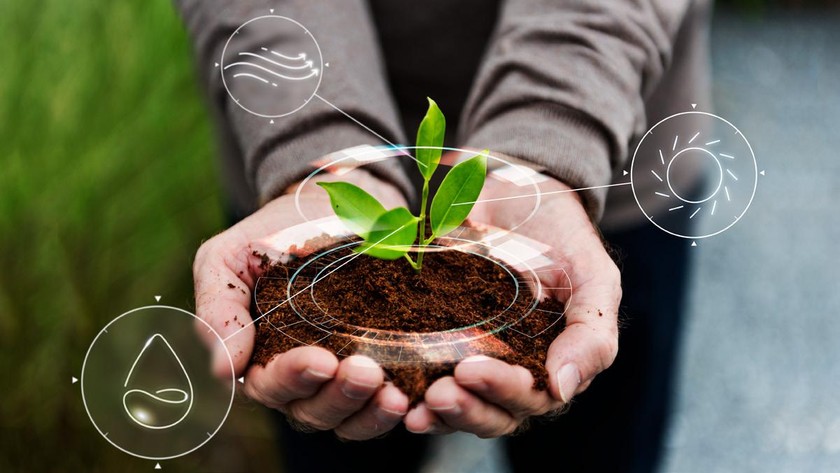Tuần lễ giống, Nông nghiệp Công nghệ cao và Sinh vật cảnh 2025 được tổ chức tại TP HCM với nhiều điểm mới. Ảnh: BTC