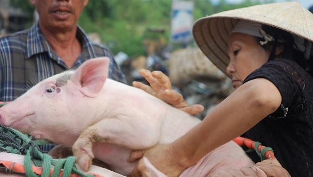 Nghề chỉ dành cho phụ nữ.