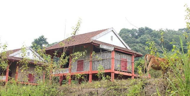Những công trình xây xong không có bóng người ở, thành nơi chăn thả trâu bò.