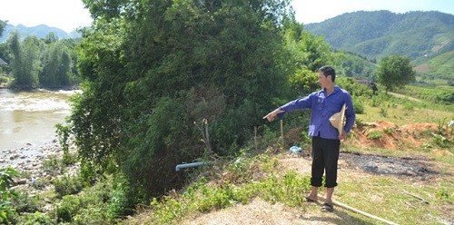 Góc vườn nơi phát hiện thi thể anh Truyền.