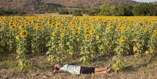 Karolina trong bộ ảnh của dự án If I Lay Here tại Lopburi, Thái Lan. Ảnh: Boredpanda.