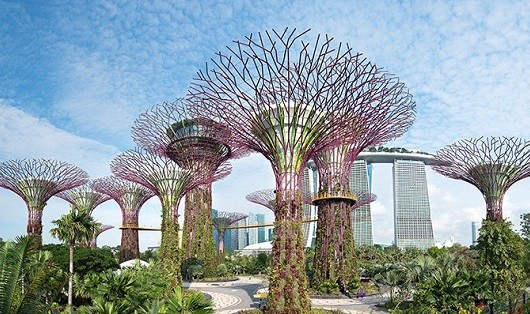 Từ tháng 6/2016, du khách đến Singapore sẽ bị quét vân tay