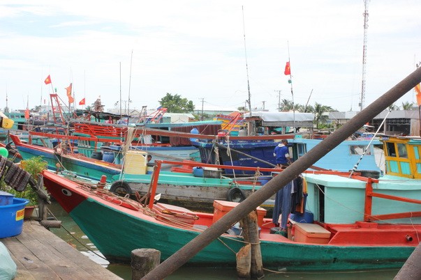 Cà Mau: Tuyên truyền, xử lý vi phạm trong khai thác và bảo vệ thủy sản