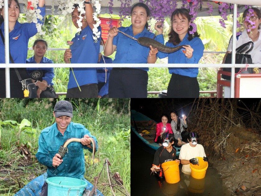 Phát triển loại hình sản phẩm du lịch sinh thái và du lịch sinh thái nông nghiệp... Đồng thời, phát huy các sản phẩm gắn với hệ sinh thái rừng ngập mặn, hệ sinh thái rừng tràm,… Phát triển loại hình sản phẩm du lịch sinh thái và du lịch sinh thái nông nghiệp... Đồng thời, phát huy các sản phẩm gắn với hệ sinh thái rừng ngập mặn, hệ sinh thái rừng tràm,…