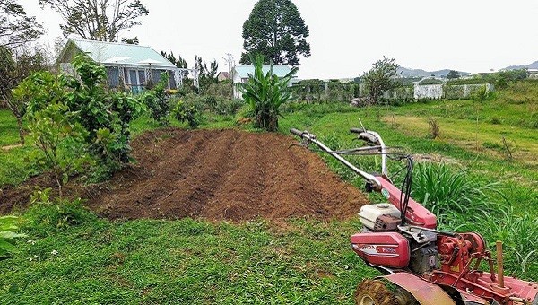 Người thành thị mơ được làm… nông dân